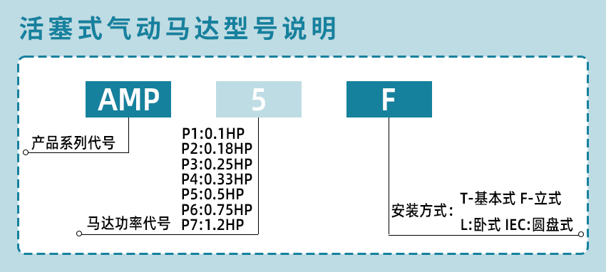 AMP3-T_10.jpg