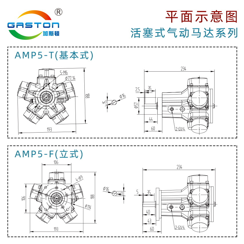 AMP5-T_14.jpg