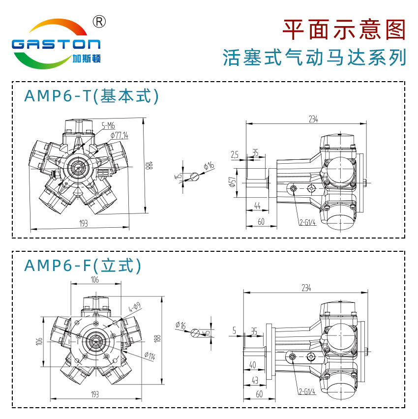 AMP6-L_14.jpg